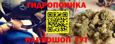 амф Лесосибирск