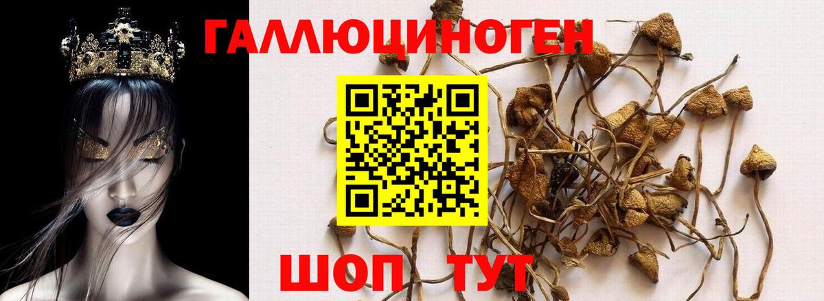 Псилоцибиновые грибы прущие грибы  Вход с VPN  Гуково  Галлюциногенные грибы мицелий 