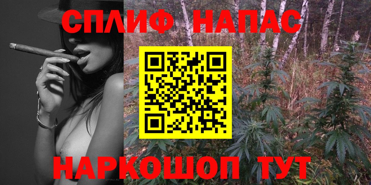 Канабис конопля Гуково